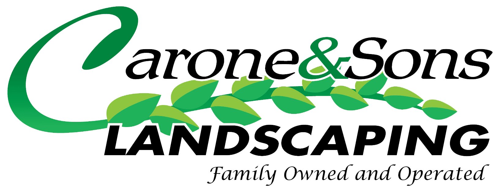 About Carone Sons Landscaping Manchester CT